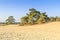 De Loonse en Drunense Duinen  form one of the largest living sand drifts of Europe