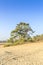 De Loonse en Drunense Duinen  form one of the largest living sand drifts of Europe