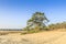 De Loonse en Drunense Duinen  form one of the largest living sand drifts of Europe