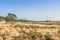 De Loonse en Drunense Duinen  form one of the largest living sand drifts of Europe