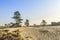 De Loonse en Drunense Duinen  form one of the largest living sand drifts of Europe