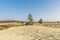 De Loonse en Drunense Duinen  form one of the largest living sand drifts of Europe