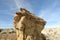 De-na-zin wilderness area, Bisti badlands,  New Mexico  USA