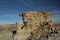 De-na-zin wilderness area, Bisti badlands,  New Mexico  USA