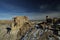 De-na-zin wilderness area, Bisti badlands,  New Mexico  USA