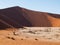 Dead acacia trees and red dunes of Namib desert