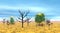 Dead and alive trees in the desert