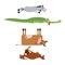 Dead animals set 3. Donkey and crocodile. Cow and kangaroo. animal is death. Corpse of Beast