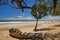 Dead boat on the beach