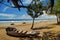 Dead boat on the beach