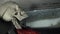 Dead boned skeleton looking through car window