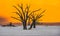 Dead Camelthorn Trees and red dunes in Deadvlei, Sossusvlei, Nam