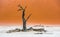 Dead Camelthorn Trees and red dunes in Deadvlei, Sossusvlei, Namib-Naukluft National Park, Namibia