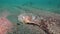 Dead crab on a deserted sandy bottom of Barents Sea.