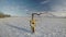 Dead dry tree and cow cranium skull on snow, time lapse 4K