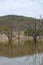 Dead dry trees in the lake in the woods