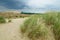 Dead Dunes in Neringa, Lithuania.