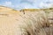 Dead dunes, sand hills in Neringa, Lithuania