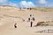 Dead dunes, sand hills in Neringa, Lithuania