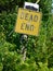 Dead End Sign with Bullet Holes