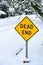 Dead end sign in a residential neighborhood on a snowy day, snow covering street, bushes, and trees