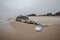 Dead Female Humpback Whale including Tail and Dorsal Fins on Fire Island, Long Island, Beach, with Sand in Foreground and Atlantic