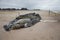 Dead Female Humpback Whale including Tail and Dorsal Fins on Fire Island, Long Island, Beach, with Sand in Foreground and Houses