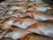 Dead fishes in meat market