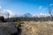 Dead forest of mount Papandayan is the most popular place for tourist. The beauty of heritage of volcanic eruption on the past.