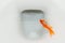 A dead goldfish floating in a toilet. Closeup view