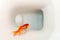 A dead goldfish in a toilet