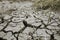 Dead grasses with cracked soil at dry season