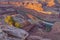 Dead Horse Point Juniper Tree Golden Hour