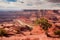 Dead Horse Point Overlook