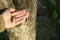 Dead insects in a male hand