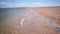 Dead jellyfish thrown on the sandy shore of the Azov Sea after the storm, summer day