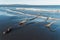 Dead logs stuck in the sand on a beach