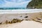 Dead Man Beach - sandy beach with seaweed on Stewart Island, New Zealand