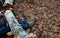 Dead man covered with a tree. the tree turned upside down and injured itself, falling while walking on a hiker, a forest worker. l