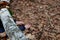 Dead man covered with a tree. the tree turned upside down and injured itself, falling while walking on a hiker, a forest worker. l