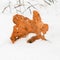 A dead oak leaf lies on the snow, autumn leaves fall. Concept of the first snowfall. Square photo