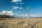 Dead old tree and dry grass, horizon and white clouds on blue sky