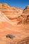 Dead sagebrush resting in front of The Wave, North Coyote Buttes, Arizona