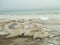 Dead Sea in Israel, Asia