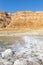 Dead Sea Israel landscape nature portrait format