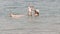 DEAD SEA, ISRAEL - SEPTEMBER, 22, 2016: woman reading a newspaper while floating in israel`s dead sea