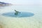 Dead Sea, Israel. White lounge chair floating in the water