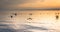 Dead Sea - October 05, 2018: Tourists bathing in the salty Dead Sea, Jordan