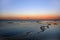 Dead sea at sunset