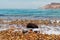 Dead sea view, salted rocks, Jordan